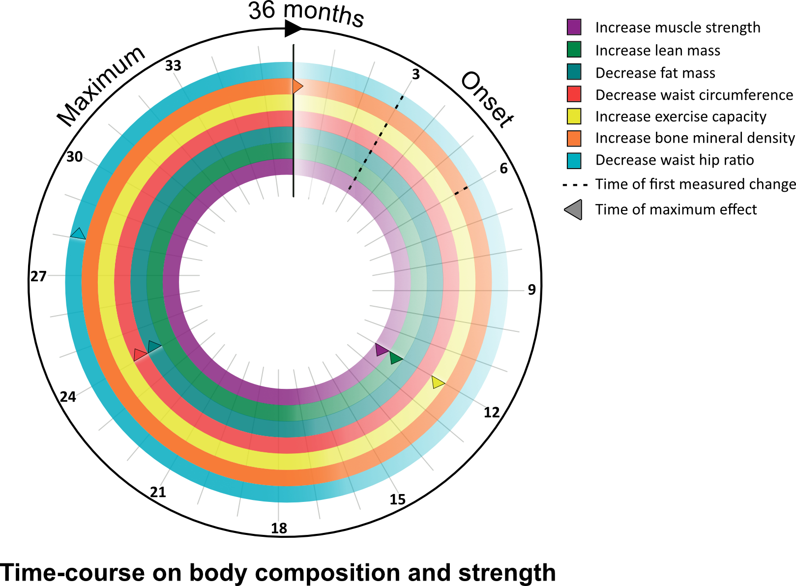 body compostion and strength graph