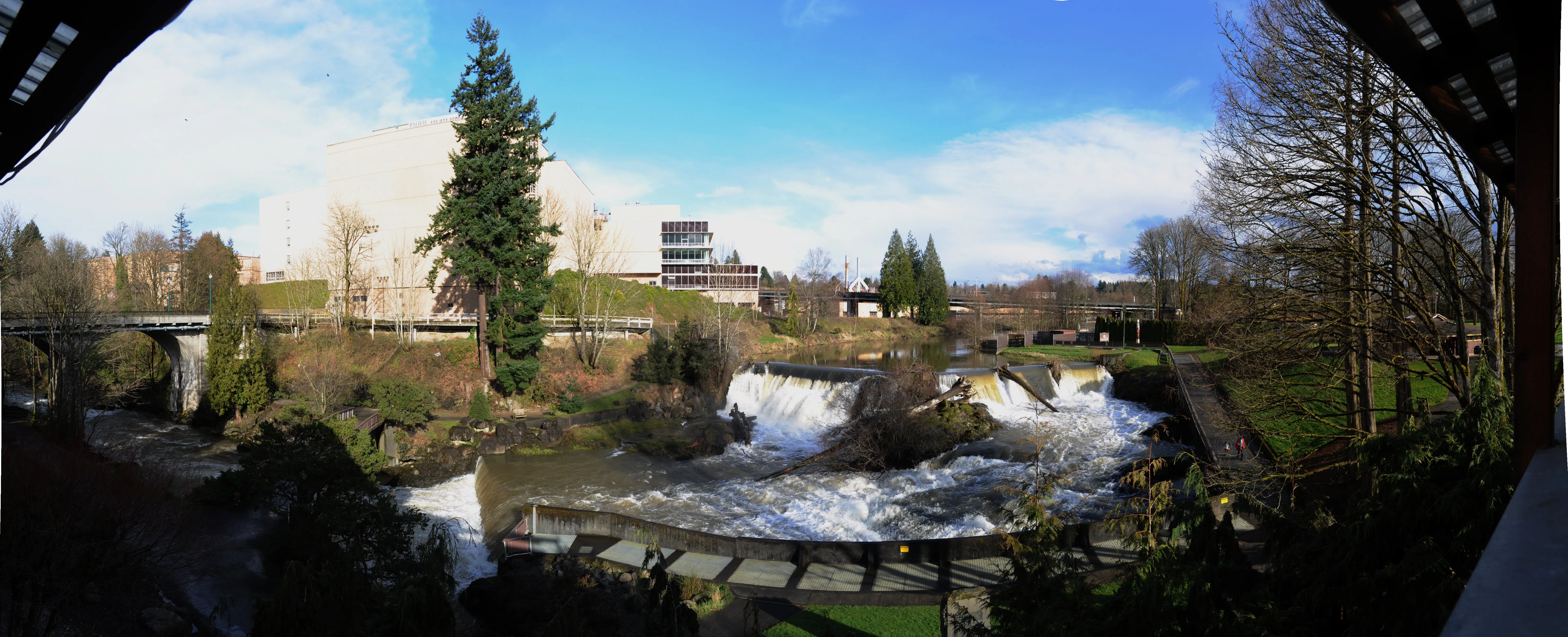Panoramic view of Tumwater, WA, the community served by Asymmetric Health's TRT and weight loss clinic